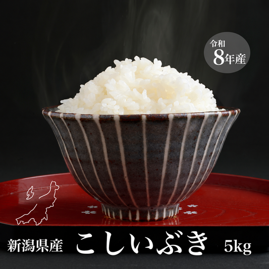 新潟県産こしいぶき 和泉 5kg(令和8年新米)