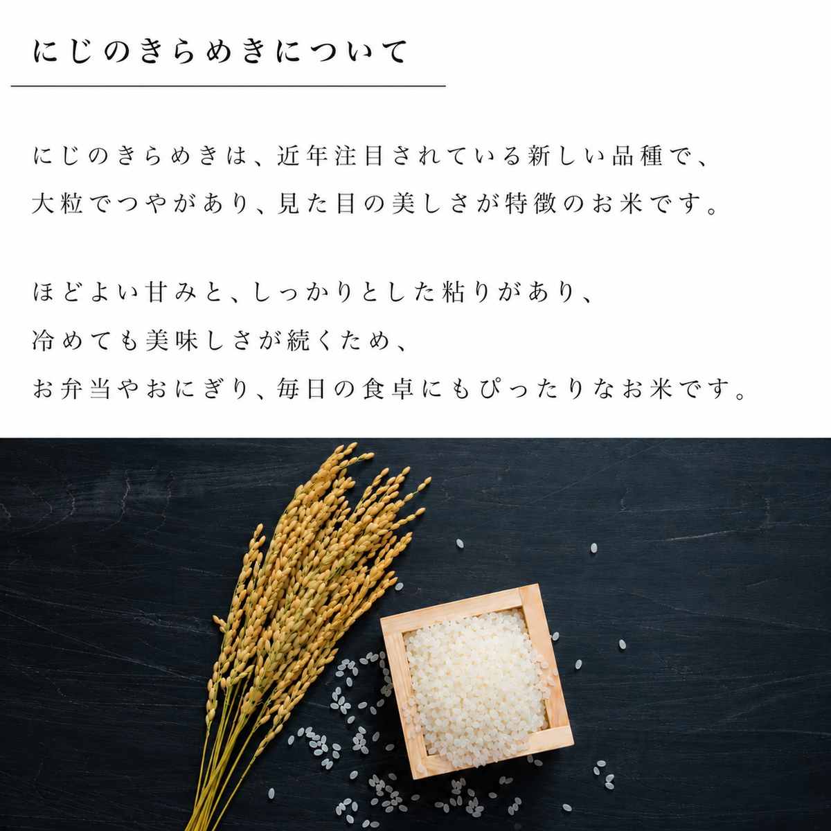 新潟県産にじのきらめき 和泉 20kg(5kg×4)（令和8年新米）