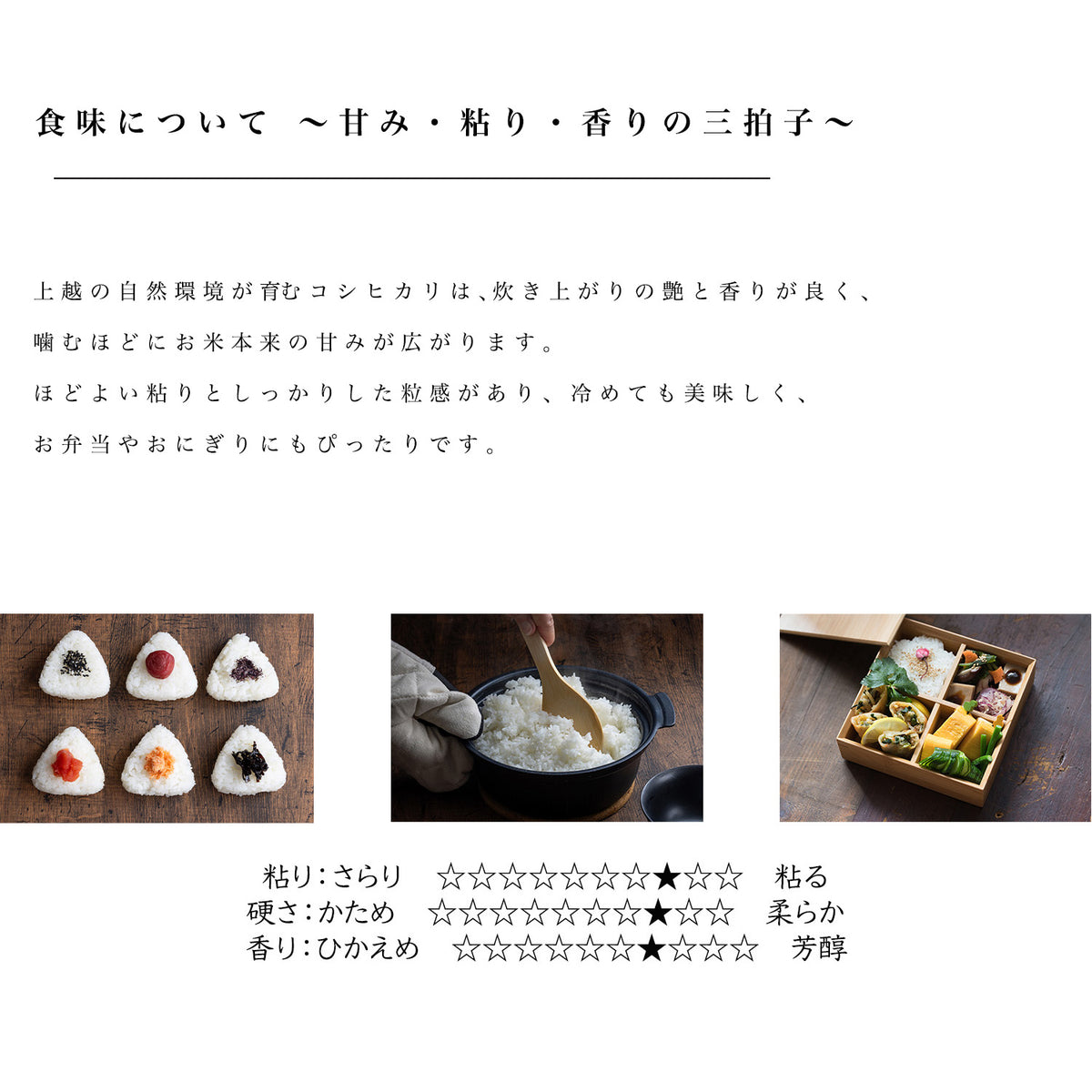 新潟県産こしひかり 和泉 10kg(5kg×2)（令和8年新米）