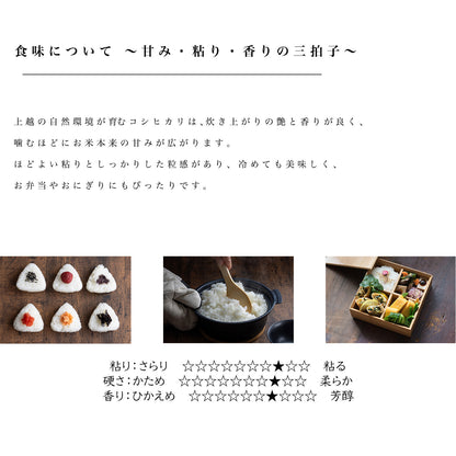 新潟県産こしひかり 和泉 10kg(5kg×2)（令和8年新米）