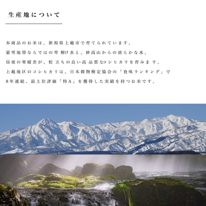 新潟県産こしひかり 和泉 10kg(5kg×2)（令和8年新米）