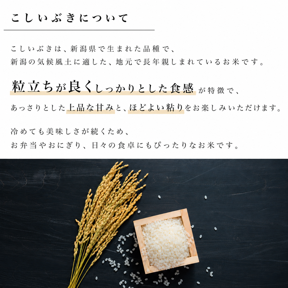 新潟県産こしいぶき 和泉 10kg(5kg×2)（令和8年新米）