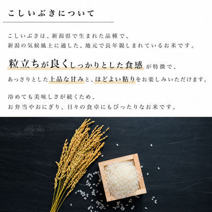 新潟県産こしいぶき 和泉 10kg(5kg×2)（令和8年新米）
